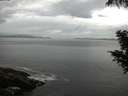./images/koeye/fitz-hugh/20200821/fitz-hugh20200821_073501.jpg