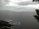 ./images/koeye/fitz-hugh/20200821/fitz-hugh20200821_074001.jpg