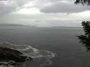 ./images/koeye/fitz-hugh/20200821/fitz-hugh20200821_074501.jpg