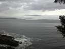 ./images/koeye/fitz-hugh/20200821/fitz-hugh20200821_075001.jpg