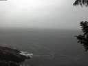 ./images/koeye/fitz-hugh/20200821/fitz-hugh20200821_080501.jpg