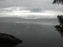 ./images/koeye/fitz-hugh/20200821/fitz-hugh20200821_081502.jpg