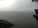 ./images/koeye/fitz-hugh/20200821/fitz-hugh20200821_083502.jpg