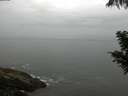 ./images/koeye/fitz-hugh/20200821/fitz-hugh20200821_084502.jpg