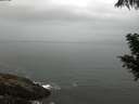 ./images/koeye/fitz-hugh/20200821/fitz-hugh20200821_085002.jpg