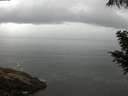 ./images/koeye/fitz-hugh/20200821/fitz-hugh20200821_090502.jpg