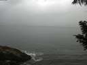./images/koeye/fitz-hugh/20200821/fitz-hugh20200821_091002.jpg