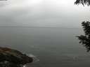 ./images/koeye/fitz-hugh/20200821/fitz-hugh20200821_091501.jpg