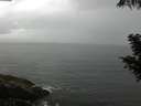 ./images/koeye/fitz-hugh/20200821/fitz-hugh20200821_092501.jpg