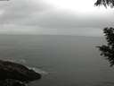 ./images/koeye/fitz-hugh/20200821/fitz-hugh20200821_093501.jpg