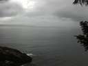 ./images/koeye/fitz-hugh/20200821/fitz-hugh20200821_094001.jpg