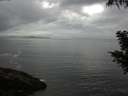 ./images/koeye/fitz-hugh/20200821/fitz-hugh20200821_094501.jpg