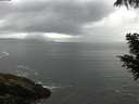 ./images/koeye/fitz-hugh/20200821/fitz-hugh20200821_095501.jpg
