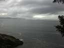 ./images/koeye/fitz-hugh/20200821/fitz-hugh20200821_100001.jpg