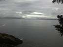 ./images/koeye/fitz-hugh/20200821/fitz-hugh20200821_101001.jpg