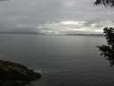 ./images/koeye/fitz-hugh/20200821/fitz-hugh20200821_102001.jpg
