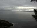 ./images/koeye/fitz-hugh/20200821/fitz-hugh20200821_103501.jpg