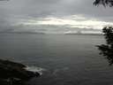 ./images/koeye/fitz-hugh/20200821/fitz-hugh20200821_104501.jpg