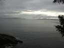 ./images/koeye/fitz-hugh/20200821/fitz-hugh20200821_105001.jpg