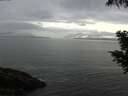 ./images/koeye/fitz-hugh/20200821/fitz-hugh20200821_105501.jpg