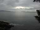 ./images/koeye/fitz-hugh/20200821/fitz-hugh20200821_111002.jpg