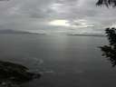 ./images/koeye/fitz-hugh/20200821/fitz-hugh20200821_111502.jpg