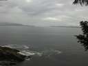 ./images/koeye/fitz-hugh/20200821/fitz-hugh20200821_112502.jpg