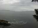 ./images/koeye/fitz-hugh/20200821/fitz-hugh20200821_113502.jpg