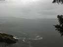./images/koeye/fitz-hugh/20200821/fitz-hugh20200821_114002.jpg