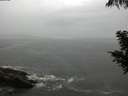 ./images/koeye/fitz-hugh/20200821/fitz-hugh20200821_114502.jpg
