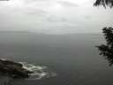 ./images/koeye/fitz-hugh/20200821/fitz-hugh20200821_120502.jpg