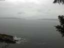 ./images/koeye/fitz-hugh/20200821/fitz-hugh20200821_121002.jpg