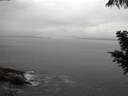 ./images/koeye/fitz-hugh/20200821/fitz-hugh20200821_122501.jpg