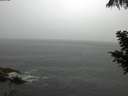 ./images/koeye/fitz-hugh/20200821/fitz-hugh20200821_123501.jpg