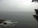 ./images/koeye/fitz-hugh/20200821/fitz-hugh20200821_124001.jpg