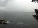 ./images/koeye/fitz-hugh/20200821/fitz-hugh20200821_124501.jpg