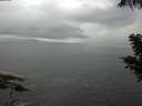 ./images/koeye/fitz-hugh/20200821/fitz-hugh20200821_125501.jpg