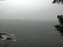 ./images/koeye/fitz-hugh/20200821/fitz-hugh20200821_130501.jpg