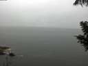 ./images/koeye/fitz-hugh/20200821/fitz-hugh20200821_131001.jpg