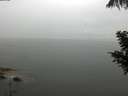 ./images/koeye/fitz-hugh/20200821/fitz-hugh20200821_131501.jpg