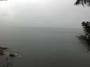 ./images/koeye/fitz-hugh/20200821/fitz-hugh20200821_132001.jpg