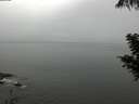 ./images/koeye/fitz-hugh/20200821/fitz-hugh20200821_132501.jpg