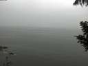 ./images/koeye/fitz-hugh/20200821/fitz-hugh20200821_133501.jpg