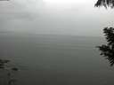 ./images/koeye/fitz-hugh/20200821/fitz-hugh20200821_134001.jpg