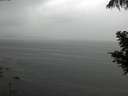 ./images/koeye/fitz-hugh/20200821/fitz-hugh20200821_134501.jpg
