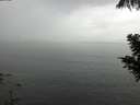 ./images/koeye/fitz-hugh/20200821/fitz-hugh20200821_135001.jpg