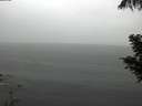 ./images/koeye/fitz-hugh/20200821/fitz-hugh20200821_135501.jpg