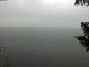 ./images/koeye/fitz-hugh/20200821/fitz-hugh20200821_140501.jpg