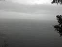 ./images/koeye/fitz-hugh/20200821/fitz-hugh20200821_141001.jpg