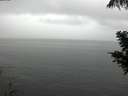 ./images/koeye/fitz-hugh/20200821/fitz-hugh20200821_141501.jpg